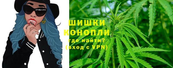 дживик Абаза