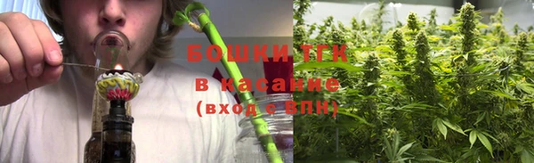 дживик Абаза