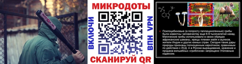 mega как войти  Новочебоксарск  Псилоцибиновые грибы Psilocybe  магазин продажи  